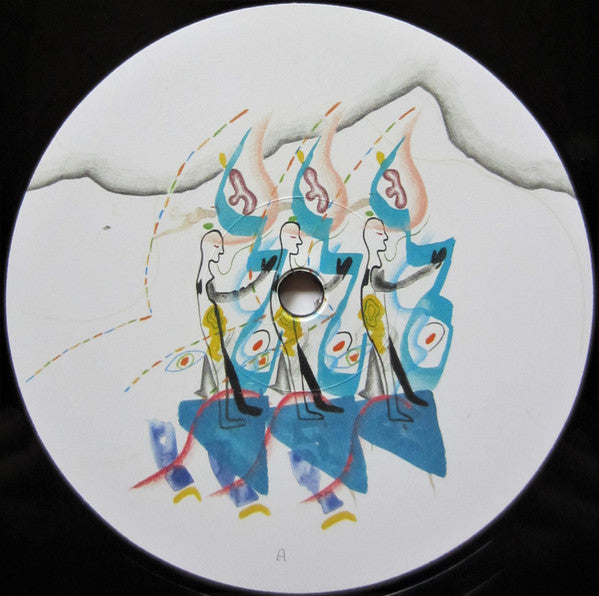 Animal Collective : The Painters (12",45 RPM,EP)