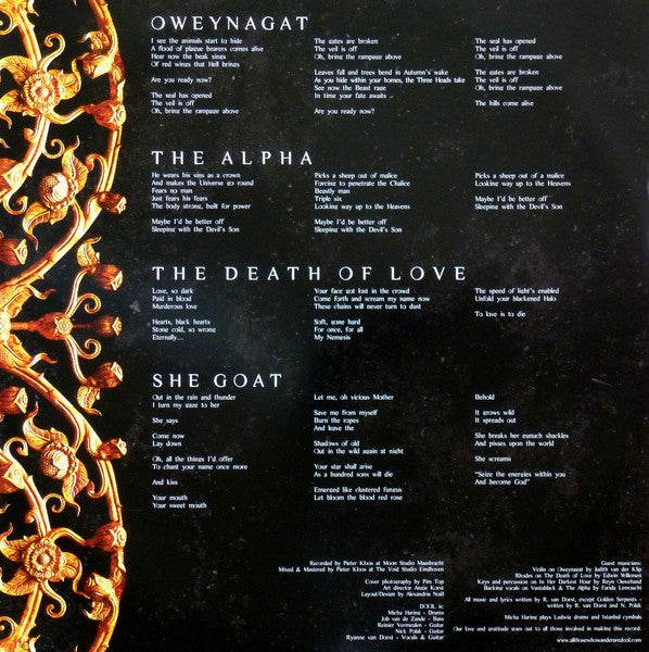 DOOL : Here Now, There Then (LP,Album,Limited Edition)