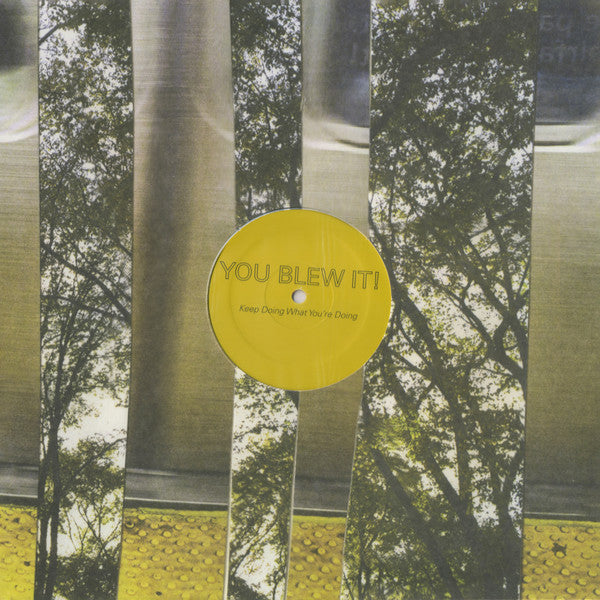 You Blew It! : Keep Doing What You're Doing (LP, Album, Tra)