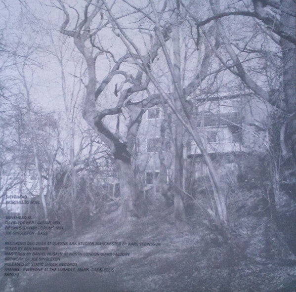 Sievehead : Worthless Soul (LP,Album)