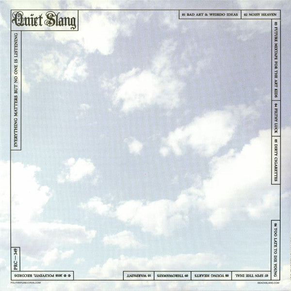 Quiet Slang : Everything Matters But No One Is Listening (LP,Album,Limited Edition)