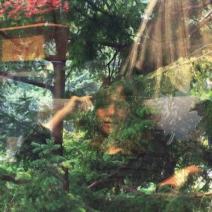 Jennifer Castle : Angels Of Death (LP, Album)