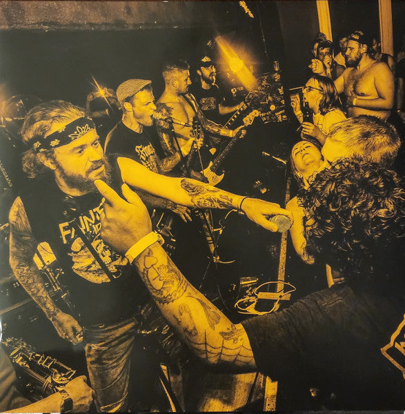 Filaments, The : Look To The Skies (LP,Album)