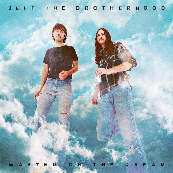 Jeff The Brotherhood : Wasted On The Dream (LP,Album)