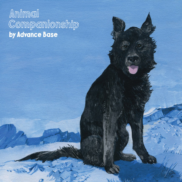 Advance Base : Animal Companionship (LP,Album,Limited Edition)