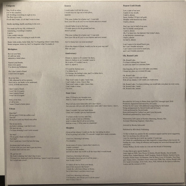 Novo Amor : Birthplace (LP,Album)