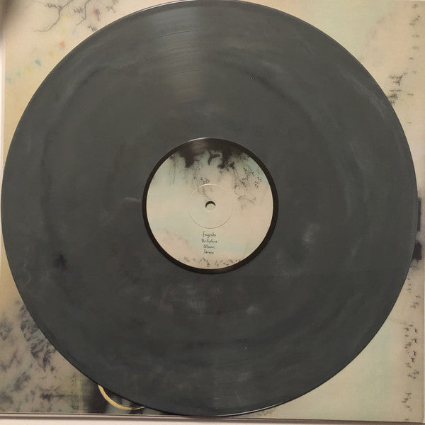 Novo Amor : Birthplace (LP,Album)