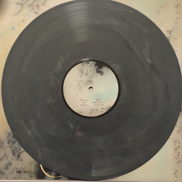 Novo Amor : Birthplace (LP,Album)