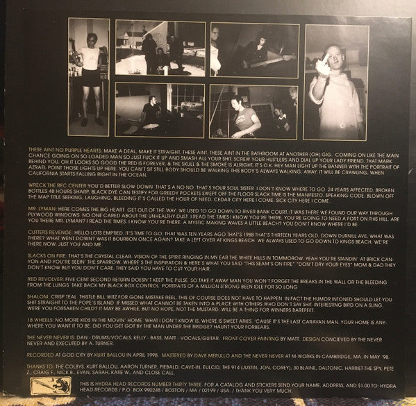 The Never Never : These Aint No Purple Hearts (LP, Gra)