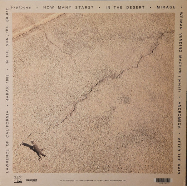 Mekons, The : Deserted (LP,Album,Deluxe Edition,Stereo)
