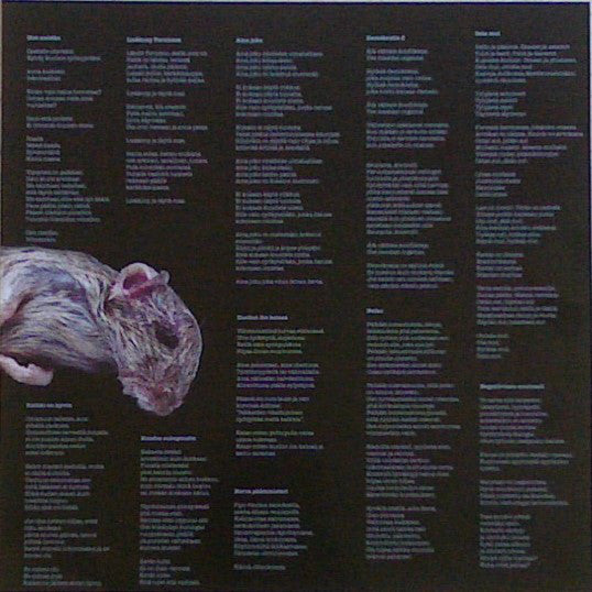 Bad Jesus Experience : Kaikki On Hyvin (LP,45 RPM,Album)