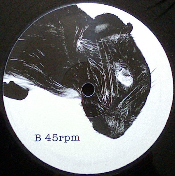 Bad Jesus Experience : Kaikki On Hyvin (LP,45 RPM,Album)
