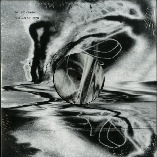 Bernd Friedmann : Potential For Havoc (12", Ltd)