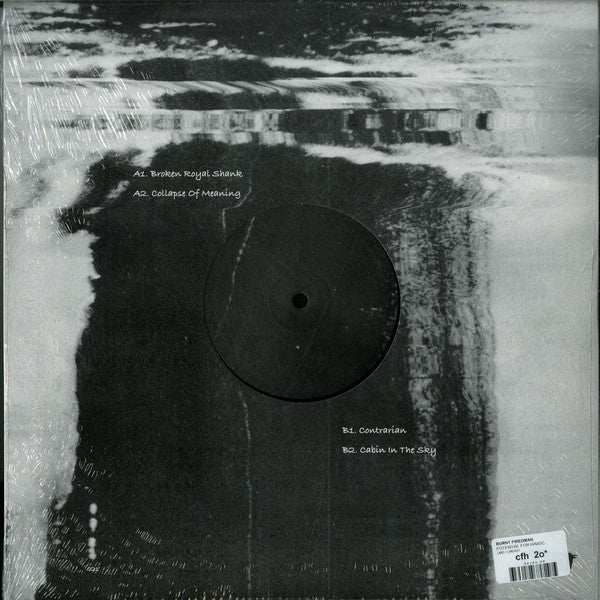 Bernd Friedmann : Potential For Havoc (12", Ltd)