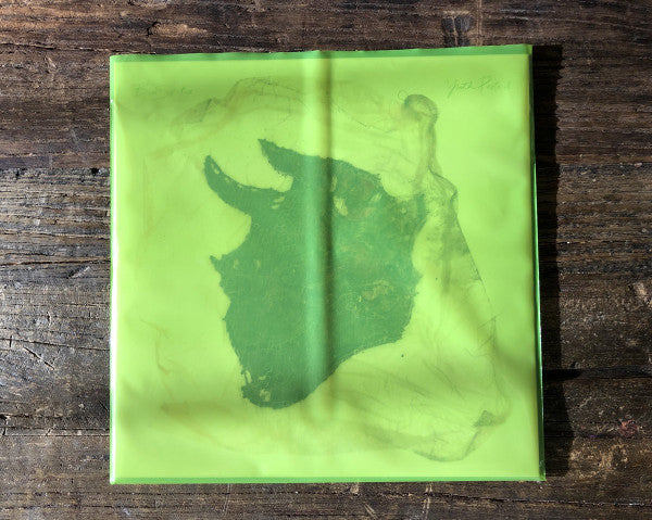 Ben Seretan : Youth Pastoral (LP,Album)