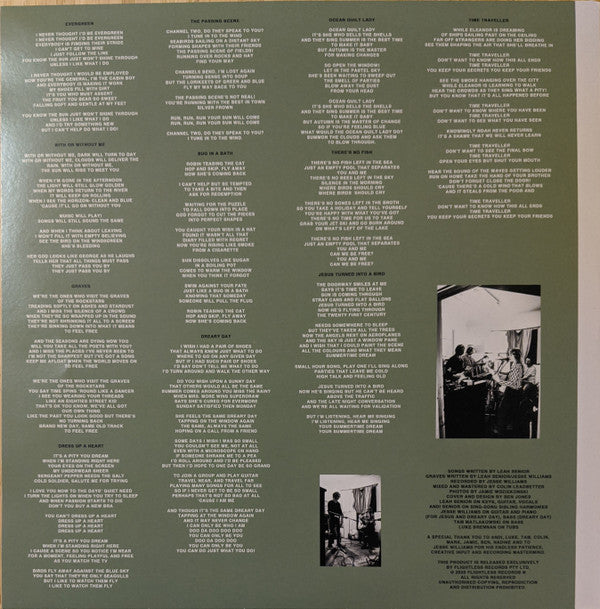 Leah Senior : The Passing Scene (LP, Album, Ltd, Oli)