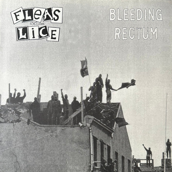 Bleeding Rectum / Fleas And Lice : Bleeding Rectum / Fleas And Lice (LP)
