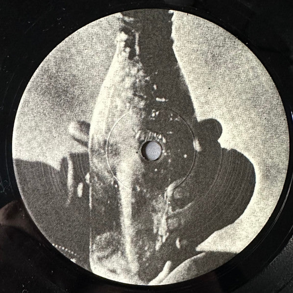 Bleeding Rectum / Fleas And Lice : Bleeding Rectum / Fleas And Lice (LP)