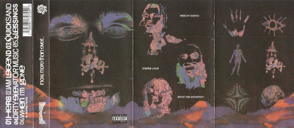 Flatbush Zombies : Now, More Than Ever (Cass, EP)