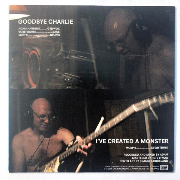 Dumb Numbers : Goodbye Charlie (7", Single)
