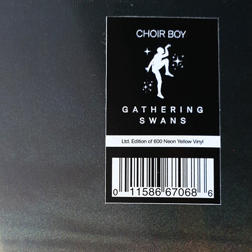 Choir Boy (2) : Gathering Swans (LP, Album, Ltd, RE, Neo)