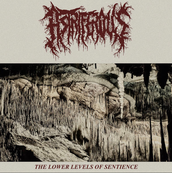 Astriferous : The Lower Levels Of Sentience (12",45 RPM,EP)