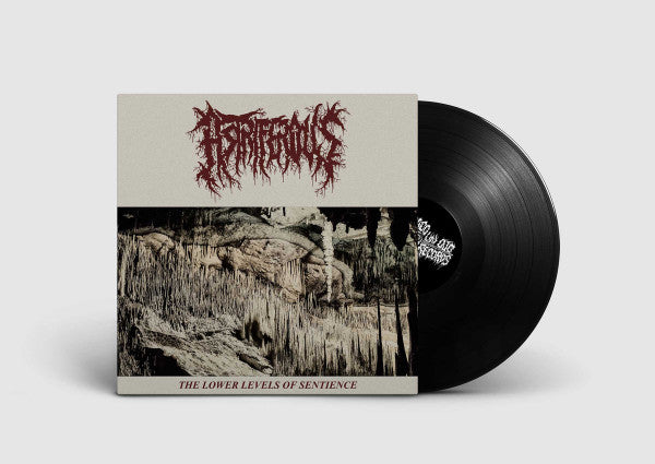 Astriferous : The Lower Levels Of Sentience (12",45 RPM,EP)
