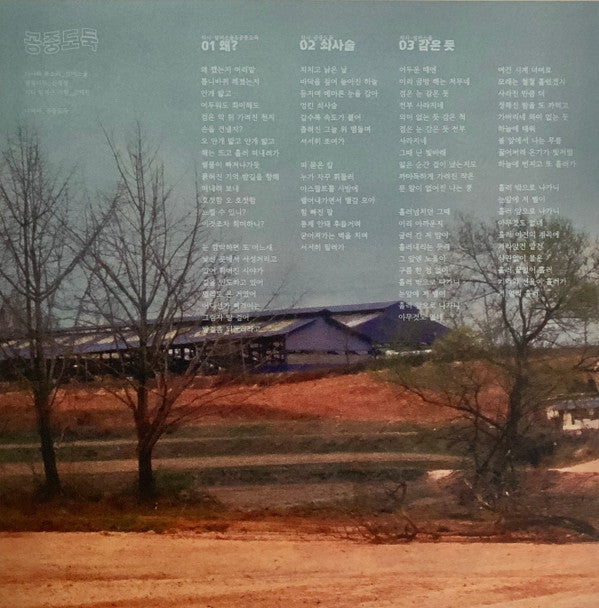 공중도둑 = 공중도둑 : 무너지기 = Crumbling (LP,Album,Limited Edition,Repress)