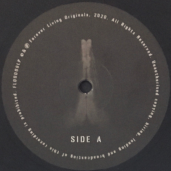 Sault : Untitled (Rise) (LP,Album,Stereo)