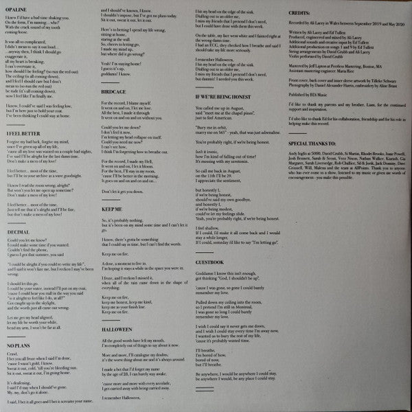 Novo Amor : Cannot Be, Whatsoever (LP,Album)