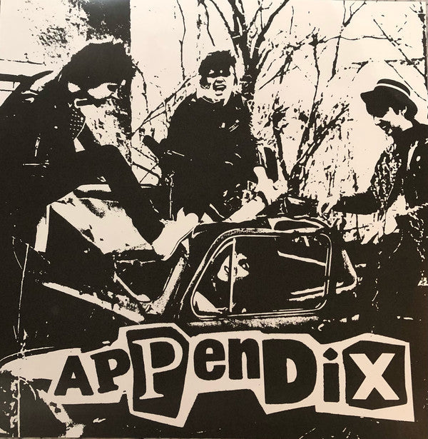 Appendix : Ei Raha Oo Mun Valuuttaa (LP, Album, RP)