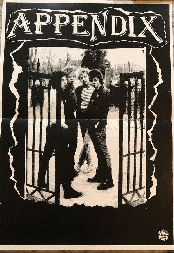 Appendix : Ei Raha Oo Mun Valuuttaa (LP, Album, RP)