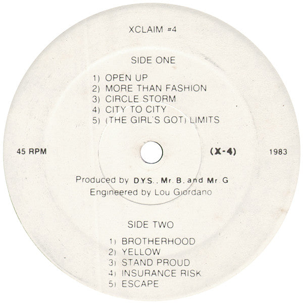 DYS : Brotherhood (12",45 RPM)