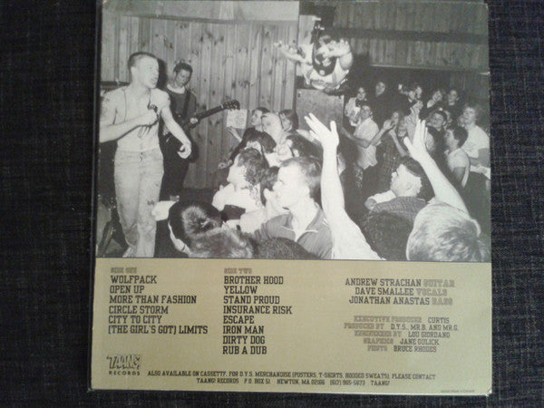 DYS : Wolfpack (LP,Album)
