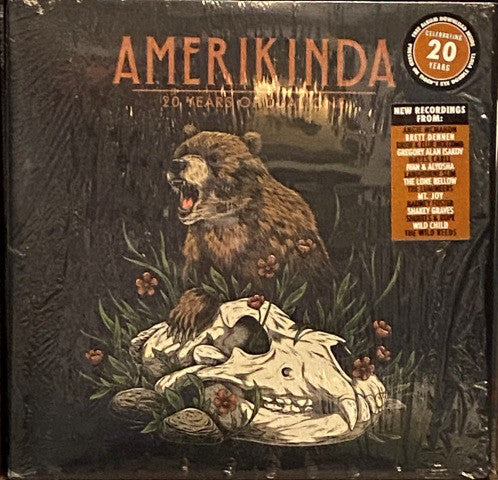 Various : Amerikinda: 20 Years Of Dualtone (2x12", Comp, Ora)