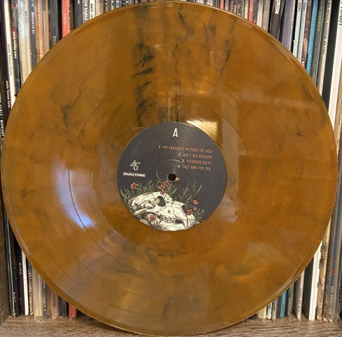 Various : Amerikinda: 20 Years Of Dualtone (2x12", Comp, Ora)