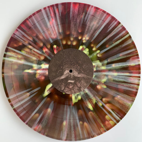 Our Place Of Worship Is Silence : Disavowed, And Left Hopeless (LP,Album,Limited Edition)