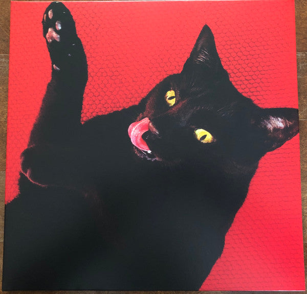 Ryan Adams : Big Colors (LP,Album)