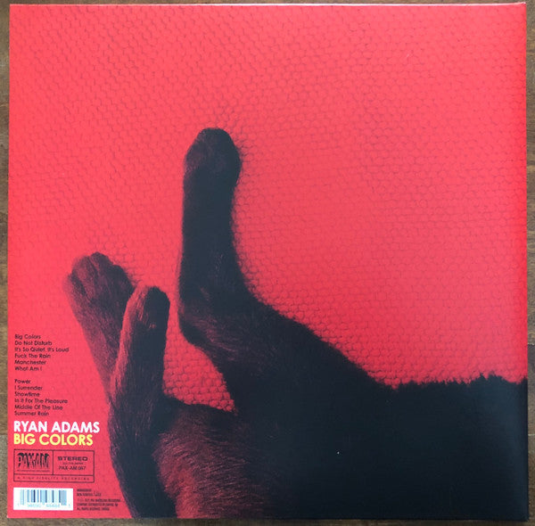 Ryan Adams : Big Colors (LP,Album)