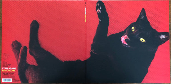 Ryan Adams : Big Colors (LP,Album)
