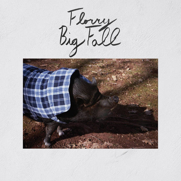 Florry (2) : Big Fall (LP,Album)