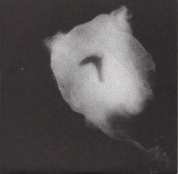 Aerosols : Aerosols (12",45 RPM,Album)