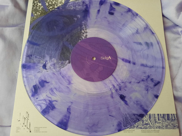 Hippo Campus : LP3 (LP, Album, Dlx, Pur)