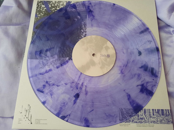 Hippo Campus : LP3 (LP, Album, Dlx, Pur)