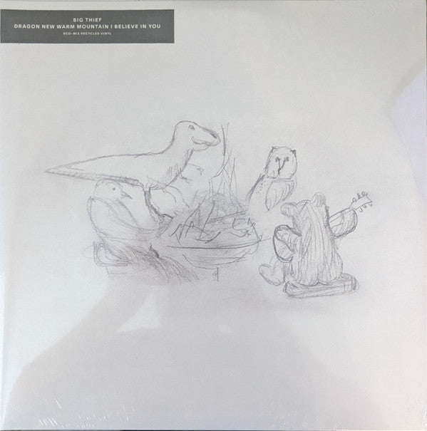 Big Thief : Dragon New Warm Mountain I Believe In You (LP,Album)