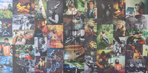 Big Thief : Dragon New Warm Mountain I Believe In You (LP,Album)