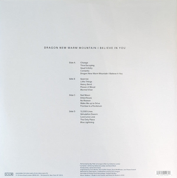 Big Thief : Dragon New Warm Mountain I Believe In You (LP,Album)