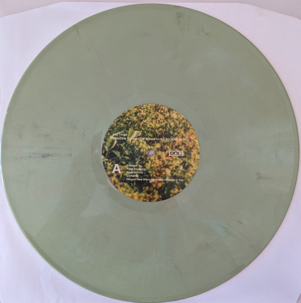 Big Thief : Dragon New Warm Mountain I Believe In You (LP,Album)