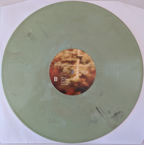 Big Thief : Dragon New Warm Mountain I Believe In You (LP,Album)