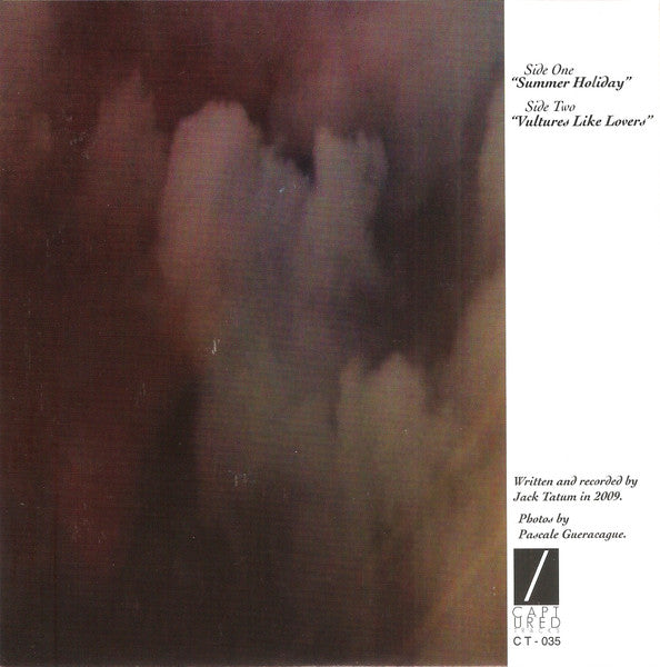 Wild Nothing : Summer Holiday (7",45 RPM,Single)